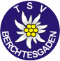TSV Logo